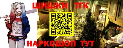 индика Будённовск