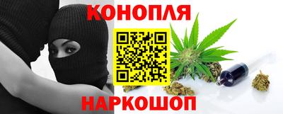 индика Будённовск