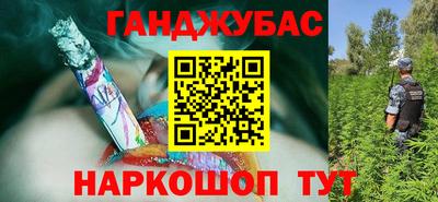 индика Будённовск